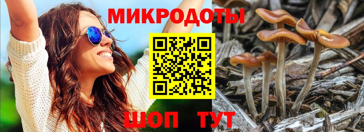 Псилоцибиновые грибы Cubensis Наро-Фоминск